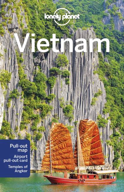 Lonely Planet Vietnam 15, Iain Stewart, Damian Harper, Bradley Mayhew,  Nick Ray, Reisgidsen & Stedengidsen, 9781787017931